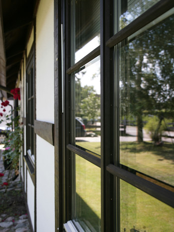 Närbild på svarta träspröjs